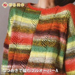 編み物 キット 毛糸 / NORO(野呂英作) なつめきで編むプルオーバーキットA