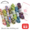 2023年 毛糸 福袋 Bloom Mix Knitting set ブルームミックス14かせセット ハッピーバッグ 編み物 
