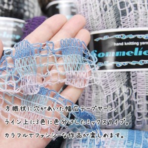 毛糸 セール アウトレット 特価 / ダイヤ アミアーモ ソムリエミックス 春夏 / 在庫セール85％OFF