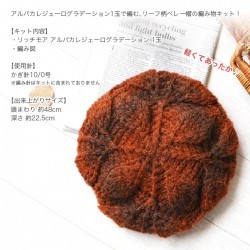 編み物 キット 毛糸 / Rich More(リッチモア) アルパカレジェーログラデーションで編むリーフ柄の引き上げ編みベレー帽キット