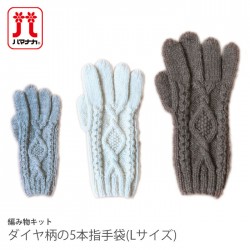 編み物 キット 毛糸 / Hamanaka(ハマナカ) ソノモノアルパカウールで編むダイヤ柄の5本指手袋キット(Lサイズ)
