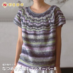 編み物 キット 毛糸 / NORO(野呂英作) なつめきで編むプルオーバーキットB