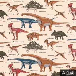 生地 ツイル 恐竜 入園 入学 男の子 綿 100％ 柄 布 / 恐竜 KTS6036 / 50cm単位