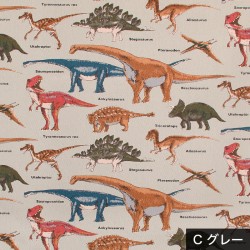 生地 ツイル 恐竜 入園 入学 男の子 綿 100％ 柄 布 / 恐竜 KTS6036 / 50cm単位