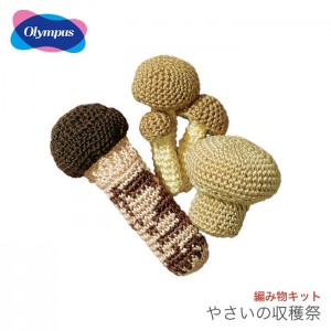 編み物 キット レース糸 編み図 セット エミーグランデ / Olympus(オリムパス) やさいの収穫祭 1