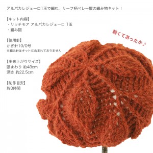編み物 キット 毛糸 / Rich More(リッチモア) アルパカレジェーロで編むリーフ柄の引き上げ編みベレー帽キット